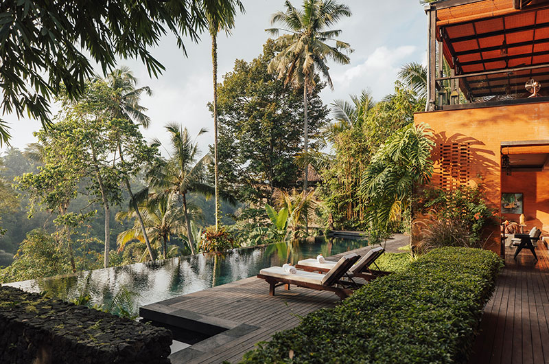 Tropical villa and infinity pool surrounded by palms