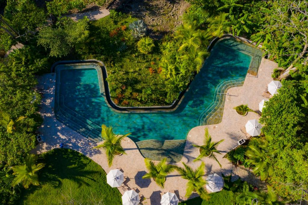 Aerial view of a sanctuary pool with tropical greenery